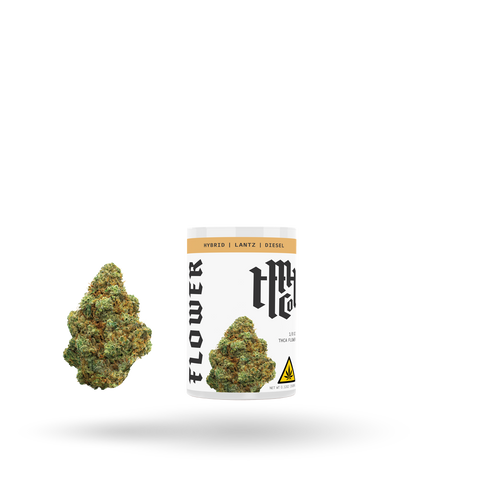 Lantz - Hybrid (THCA)