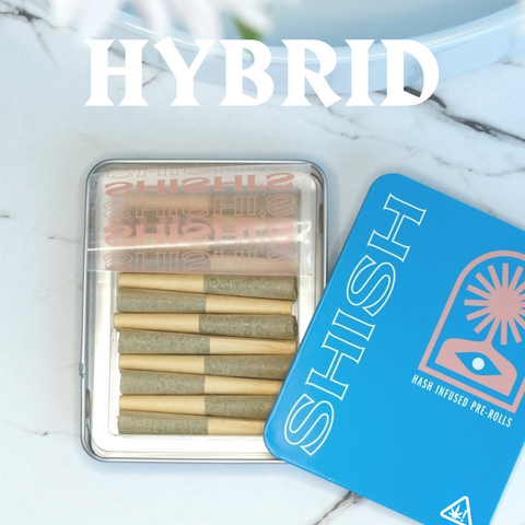 Hash Infused Pre-Rolls - Hybrid (THCA) image 1