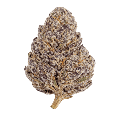 Purple Dream (THCA) image 0