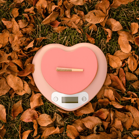 Pink Heart Scale image 0