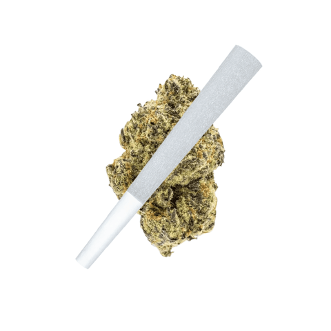 Pineapple Express Pre-Roll (THCA) image 0