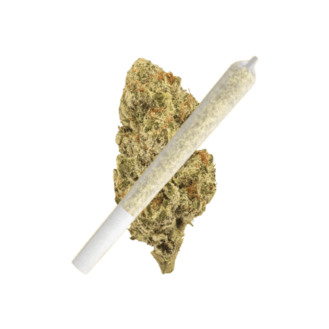 Colombian Gold Pre-Roll (THCA) image 0