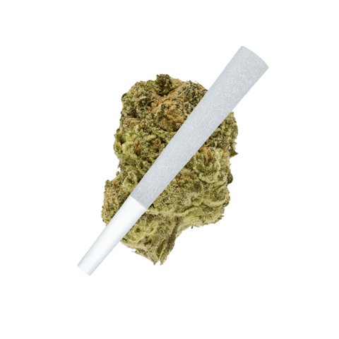 Maui Wowie Pre-Roll (THCA) image 0