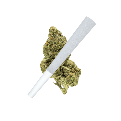 Tangie Pre-Roll (THCA) image 0