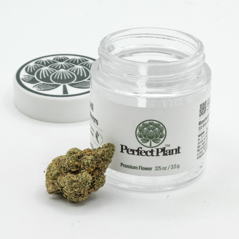 B16 Flower (THCA)