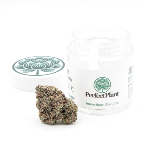 Bali Berry Flower (THCA)