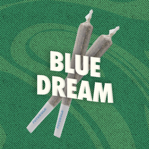 Blue Dream - 2 Pack Pre-rolls (THCA)