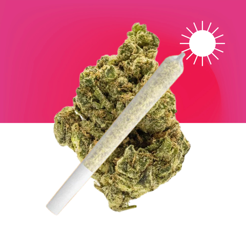 Alaskan Thunder Fuck Pre-Roll (THCA)