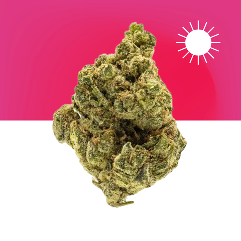 Alaskan Thunder Fck THCa Flower