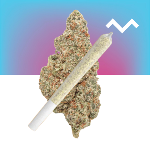 Blue Limon Pre-Roll (THCa)