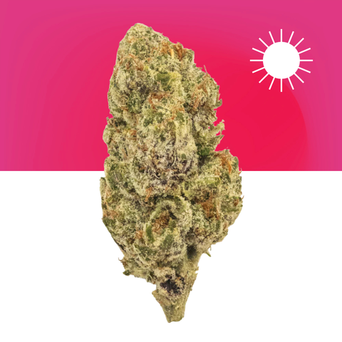 Colombian Gold THCa Flower