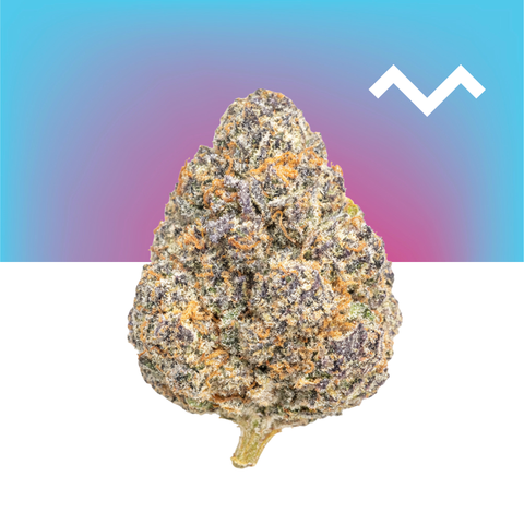 Double Stuff THCa Flower