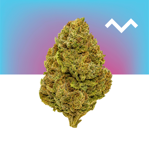 Frosted Cherry Bomb (THCA)