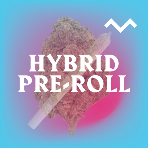 Gorilla Glue #4 Pre-Roll (THCa)