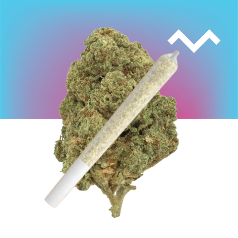 Gorilla Glue #4 Pre-Roll (THCa)