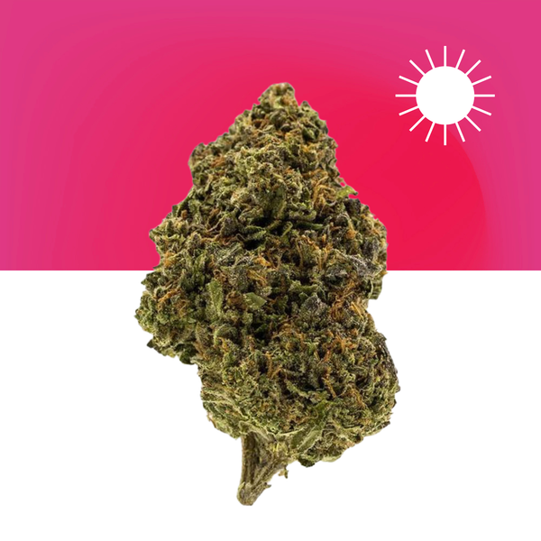 Buy Green Crack THCa Flower Online by MARYJAE Dispensary