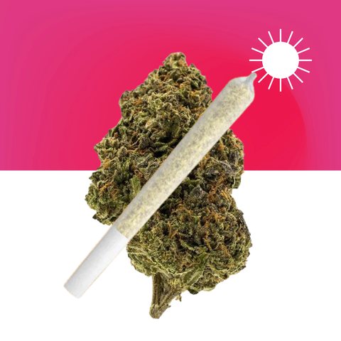 Green Crack Pre-Roll (THCA)