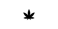 Maryjae Cannabis Dispensary