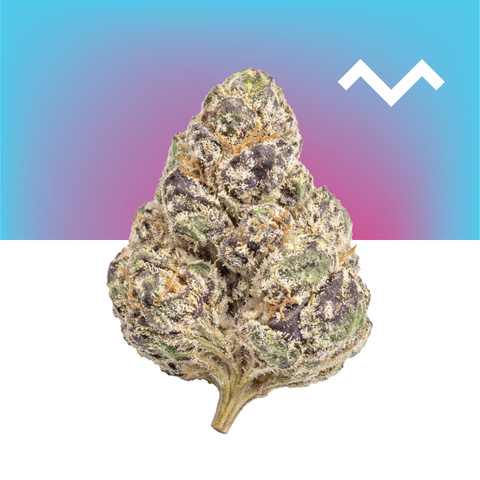 Lychee Fire THCa Flower