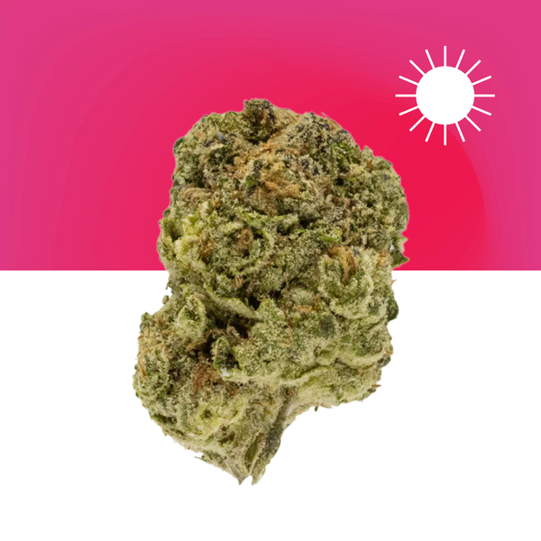 MARYJAE-Maui-Wowie_grande.png?