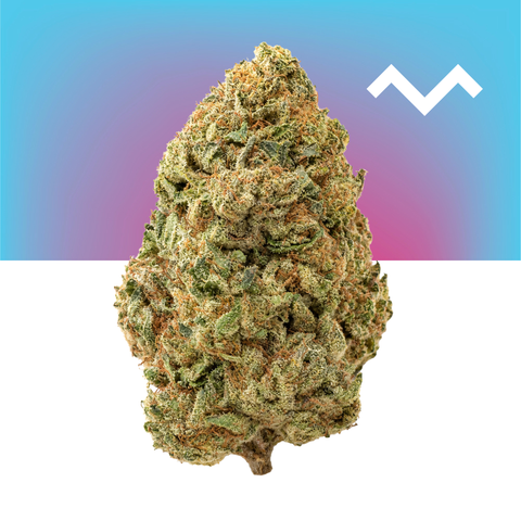 Peanut Butter Breath (THCA)