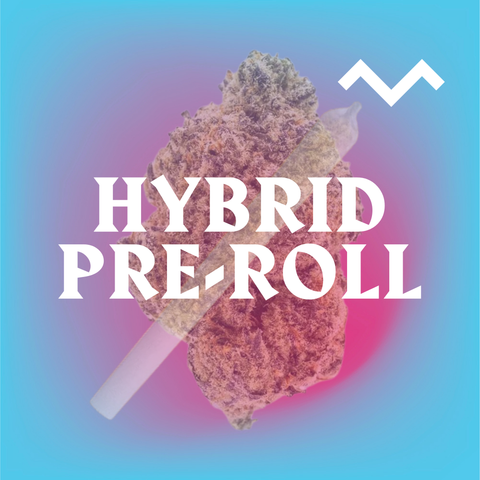 Pineapple Express Pre-Roll (THCa)