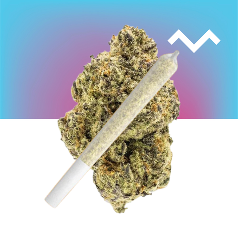 Pineapple Express Pre-Roll (THCa)