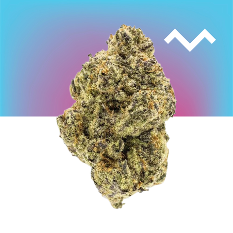 Pineapple Express THCa Flower