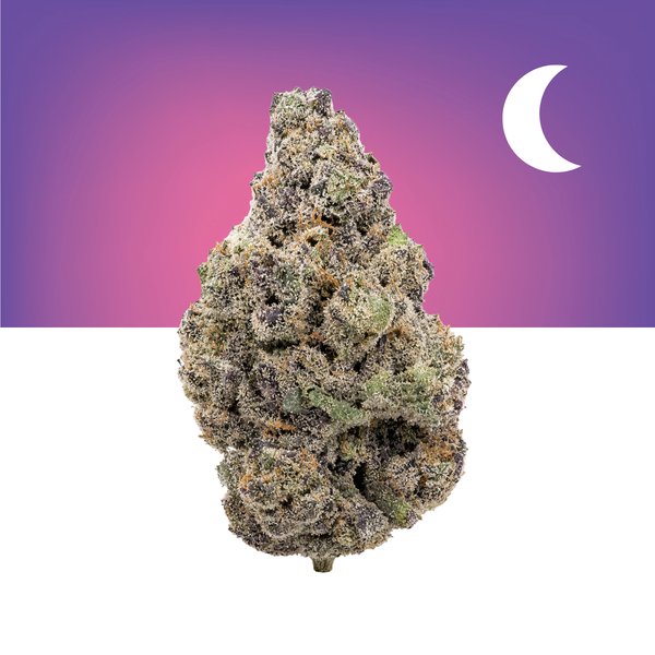 【mari】 Buy Purple Panty Dropper THCa Flower (Indoor) | MARYJAE Dispensary