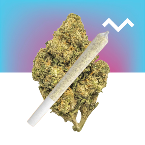 Secret Cookies Pre-Roll (THCa)