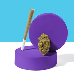 Maryjae Cannabis Dispensary