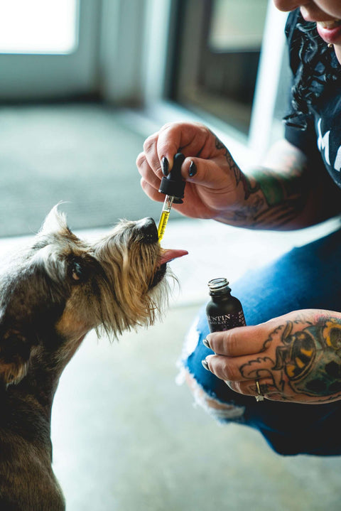 CBD Tincture For Pets image 1