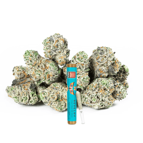 Georgia Pie Half-Gram Pre-Rolls (THCA) image 0