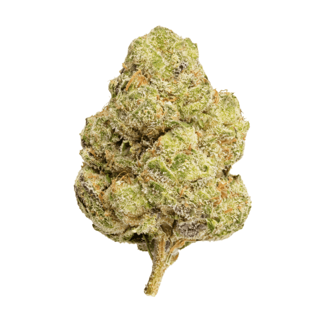 Strawpicana (THCA) image 0