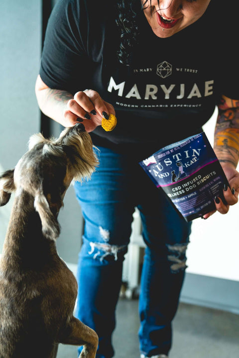 Wellness Pet Biscuits (CBD) image 5