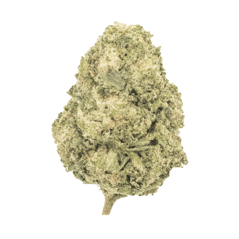 Key Lime Jack (THCA) image 0
