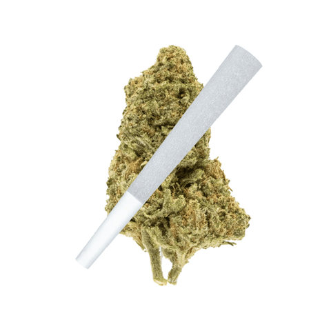 Durban Poison Pre-Roll (THCA) image 0