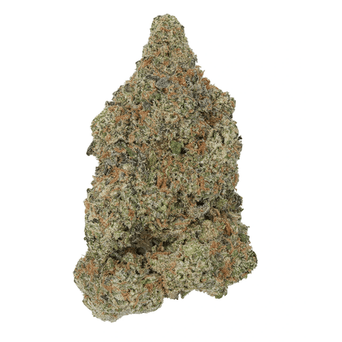 Purple Haze Flower - 32.095% (THCA)