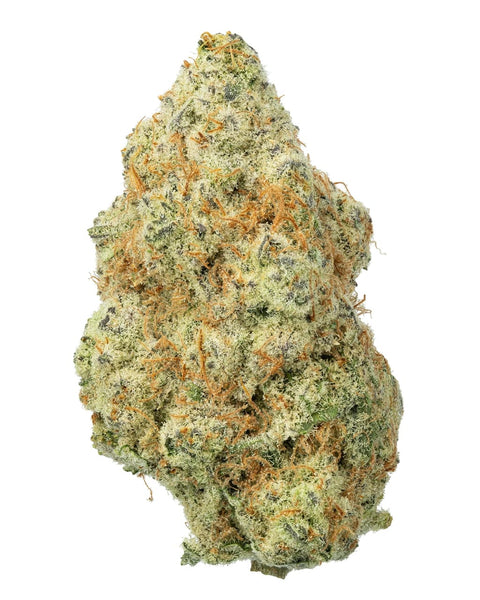 Dante's Candy Flower - 31.229% (THCA)