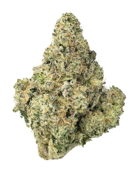 Maltese Tiger Flower - 31.413% (THCA)