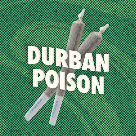 Durban Poison - 2 Pack Pre-rolls (THCA)